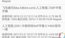 91野战直播磁力,揭秘热门磁力链接背后的精彩瞬间